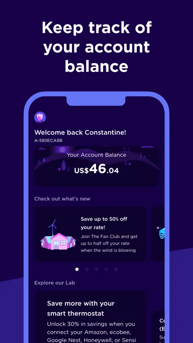 Octopus Energy screenshot 2