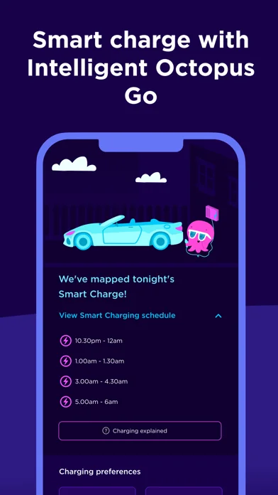 Octopus Energy screenshot 4
