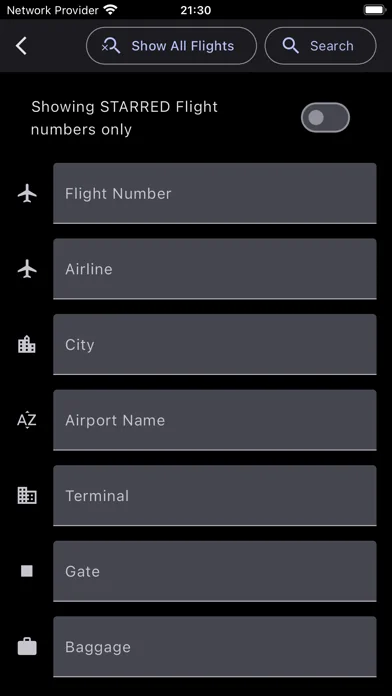 Frankfurt Airport screenshot 2