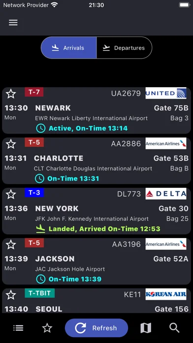 Frankfurt Airport screenshot 3