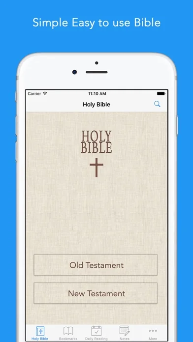 KJV Bible: King James Version screenshot 1