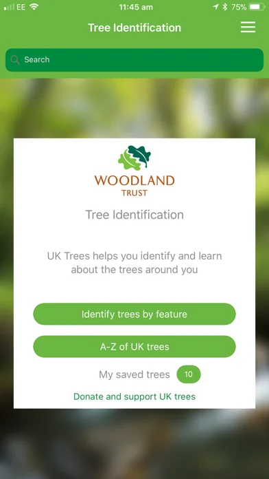 British tree identification