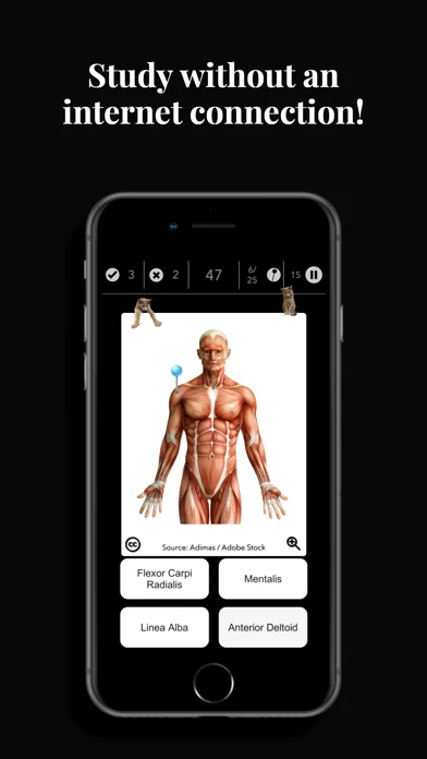 Anatomist – Anatomy Quiz Game screenshot 3