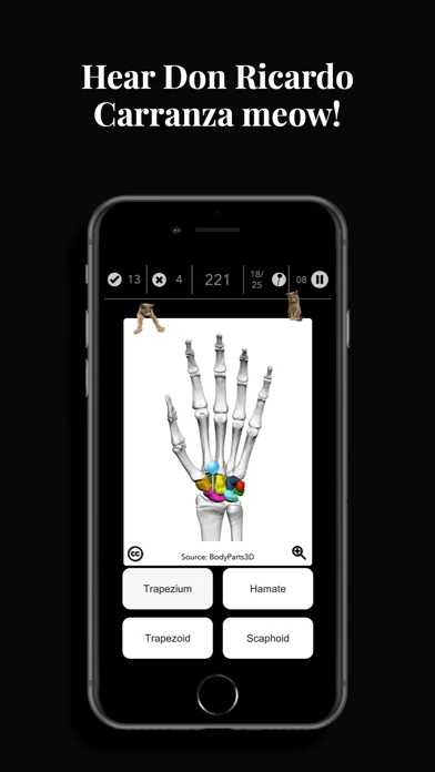 Anatomist – Anatomy Quiz Game screenshot 4