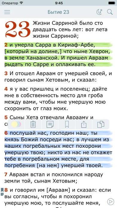 Аудио Библия Синодальный Перевод. Bible in Russian screenshot 1