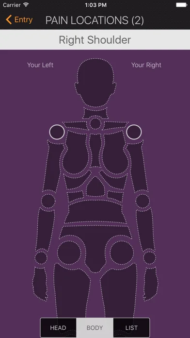 My Pain Diary & Symptom Tracker: Gold Edition