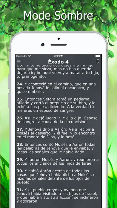La Biblia Reina Valera Español screenshot 3