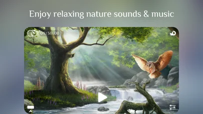 Flowing ~ Meditation & Natur