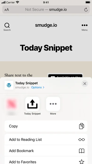 Today Snippet Widget screenshot 3