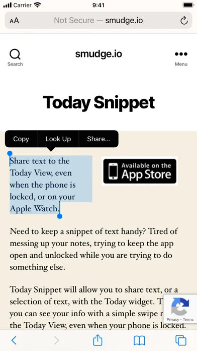 Today Snippet Widget screenshot 4