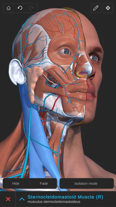 Visual Anatomy 3D - Human Body screenshot 1