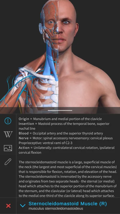 Visual Anatomy 3D - Human Body screenshot 2
