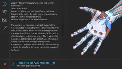 Visual Anatomy 3D - Human Body screenshot 3