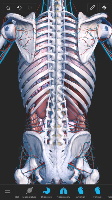 Visual Anatomy 3D - Human Body screenshot 4