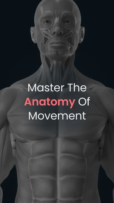 Anatomy by M&M screenshot 1