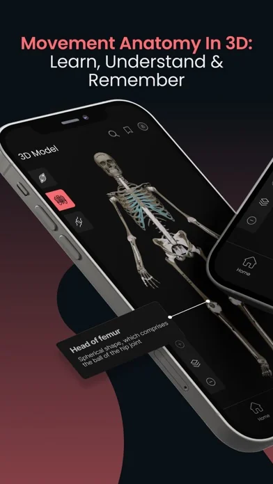 Anatomy by M&M screenshot 2