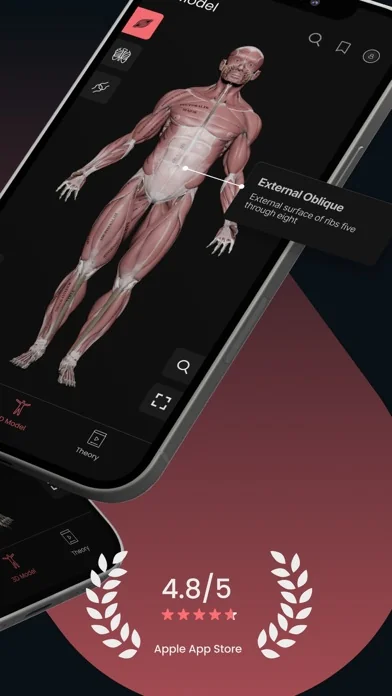 Anatomy by M&M screenshot 3