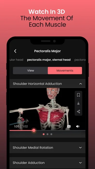 Anatomy by M&M screenshot 4