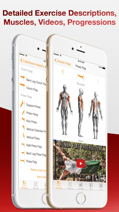 Calisthenics Mastery Pro