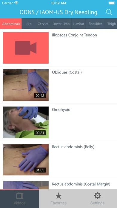 Dry Needling Clinic Companion