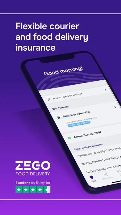 Zego Delivery