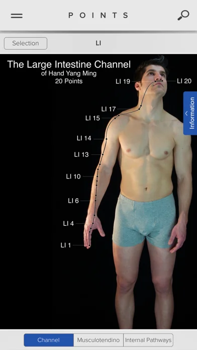 Acupuncture Points