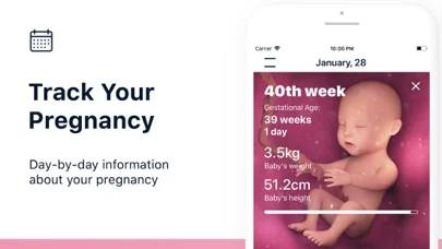 Stork — календар вагітності