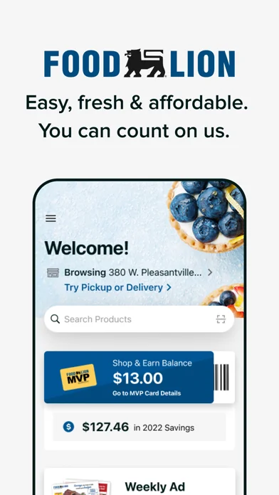 Food Lion screenshot 1