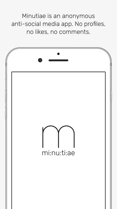 minutiae: Real Life screenshot 4