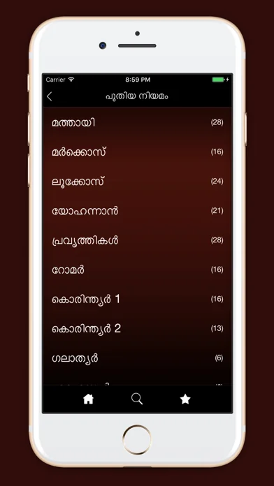 Holy Bible: Malayalam screenshot 2