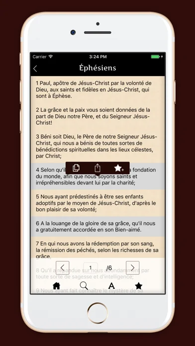 La Sainte Bible - français screenshot 3
