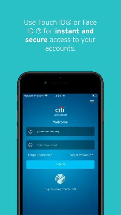 CitiManager – Commercial Cards screenshot 3