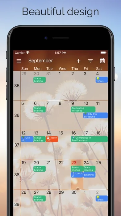 One Calendar screenshot 2