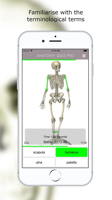 Anatomie Quiz Premium