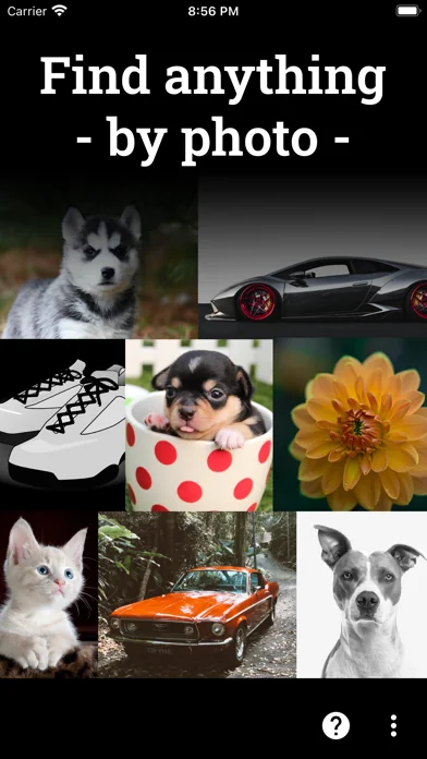 Photo Sherlock - пошук по фото screenshot 2