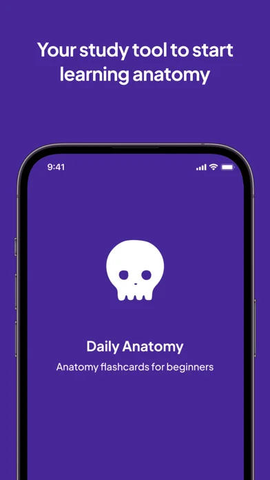 Daily Anatomy Lernkarten