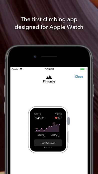 Pinnacle Climb Log screenshot 1