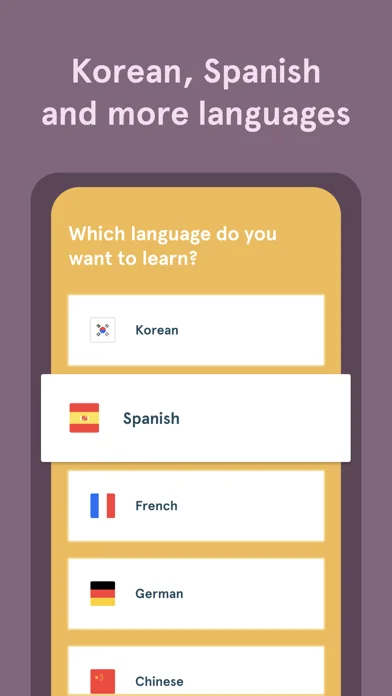 Bunpo: Learn Japanese screenshot 4