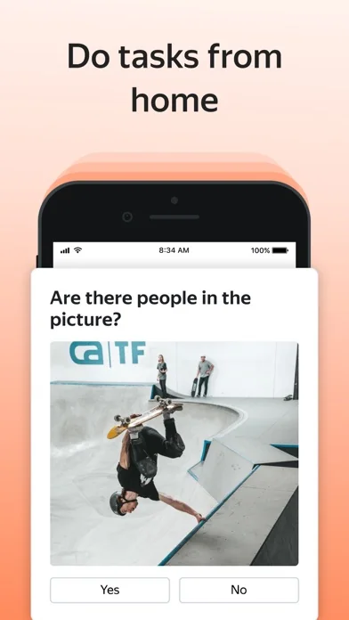 Toloka: Earn online screenshot 3