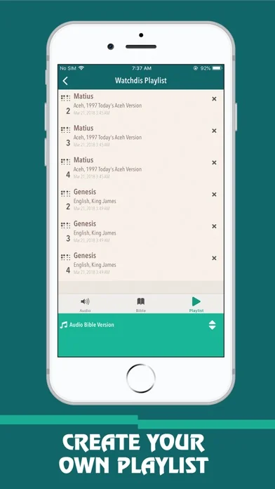 Audio Bible - Dramatized Audio screenshot 4