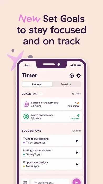 Toggl Track: Hours & Time Log screenshot 3