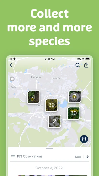 Flora Incognita screenshot 4