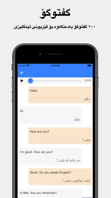 Rebin Dict Plus - Kurdish screenshot 4