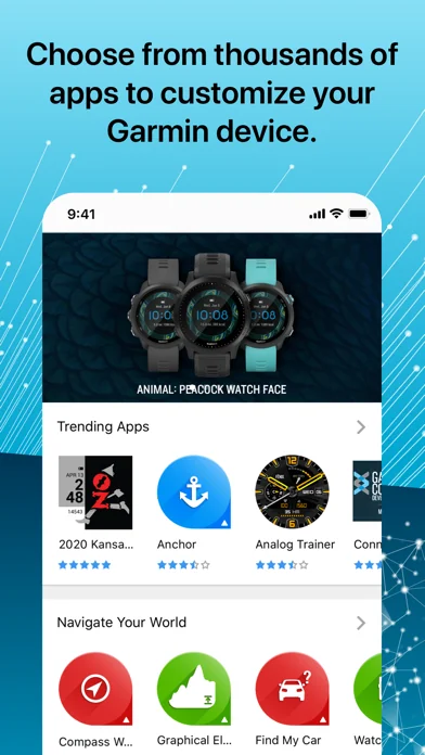 Garmin Connect IQ™