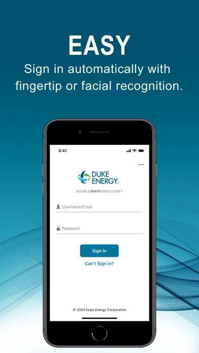 Duke Energy screenshot 1