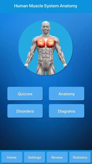 Muscle System Anatomy