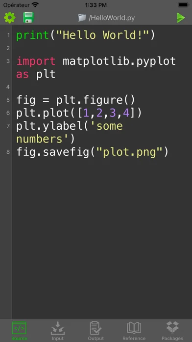 Python Programming Interpreter