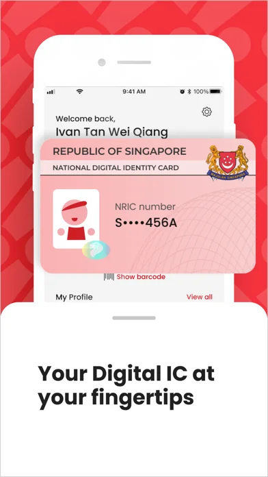 Singpass