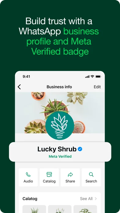 WhatsApp Business screenshot 1