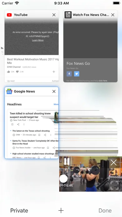 Skyfire Browser for Web Video screenshot 2